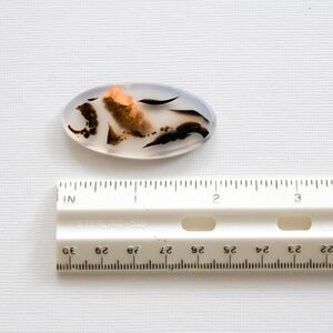 New - Montana Moss Agate cabochon to make your own jewelry